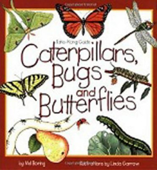 Buch Caterpillars, Bugs and Butterflies Mel Boring