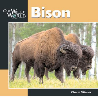 Kniha Bison Cherie Winner