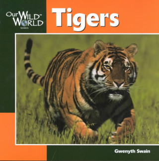 Buch Tigers Gwenyth Swain