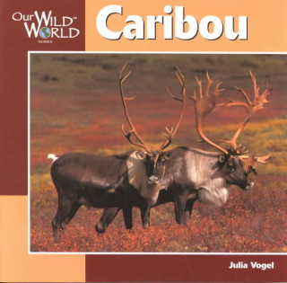 Buch Caribou Julia Vogel