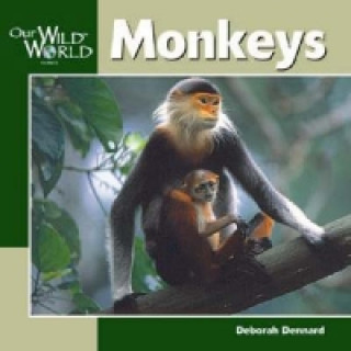 Book Monkeys Deborah Dennard