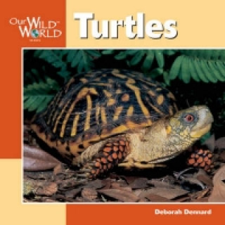 Βιβλίο Turtles Deborah Dennard