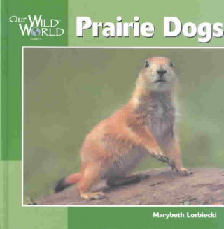 Book Prairie Dogs Adjunct Professor of Writing Marybeth (University of Wisconsin--River Falls) Lorbiecki