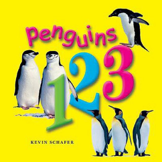 Carte Penguins 123 Kevin Schafer