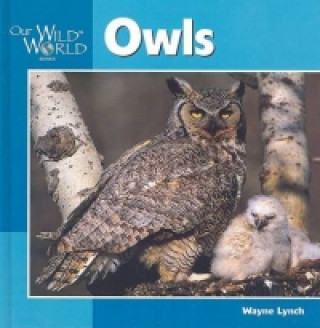 Βιβλίο Owls Wayne Lynch