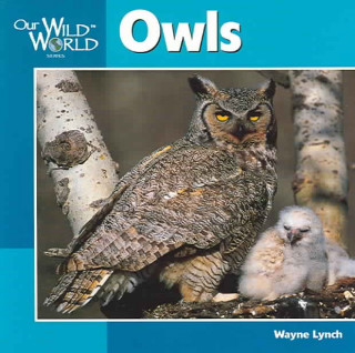Knjiga Owls Wayne Lynch