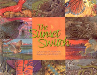 Kniha Sunset Switch Kathleen V. Kudlinski