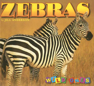 Buch Zebras Jill Anderson
