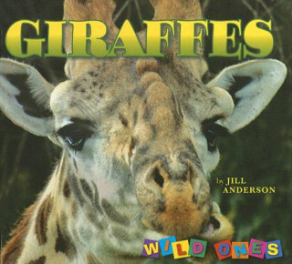 Book Giraffes Jill Anderson