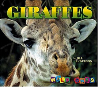 Kniha Giraffes Jill Anderson