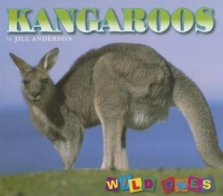 Book Kangaroos Anderson