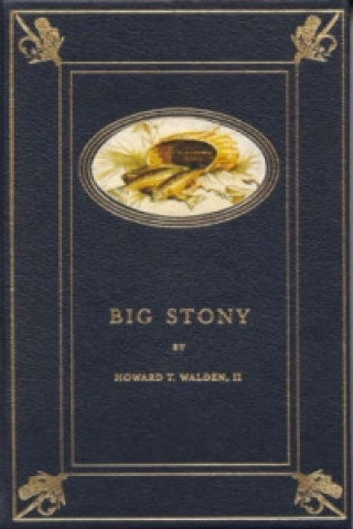 Knjiga Big Stony Howard T. Walden