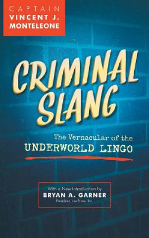 Buch Criminal Slang Vincent Joseph Monteleone