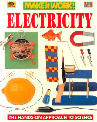 Buch Electricity Andrew Haslam
