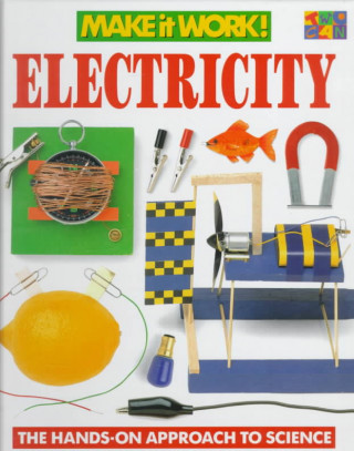 Book Electricity Andrew Haslam