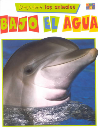 Book Bajo El Agua Diane James