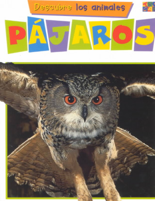 Buch Pajaros Diane James