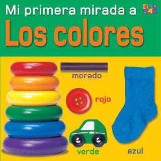 Könyv Los Colores (Colors) Christiane Gunzi