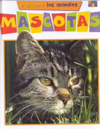 Buch Mascotas Watts