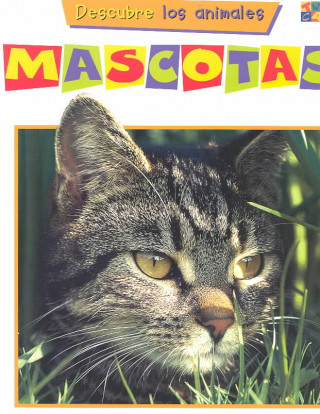 Buch Mascotas 