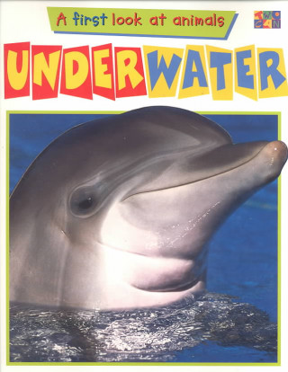 Book Underwater Claire Watts