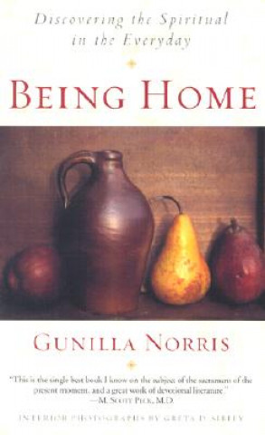 Książka Being Home Gunilla Brodde Norris