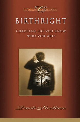 Kniha Birthright David C Needham