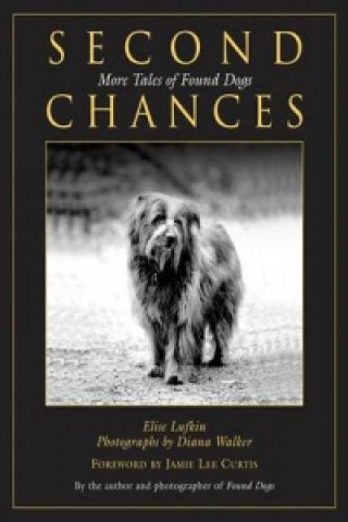Knjiga Second Chances Elise Lufkin