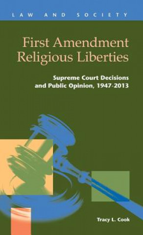 Knjiga First Amendment Religious Liberties Tracy L Cook