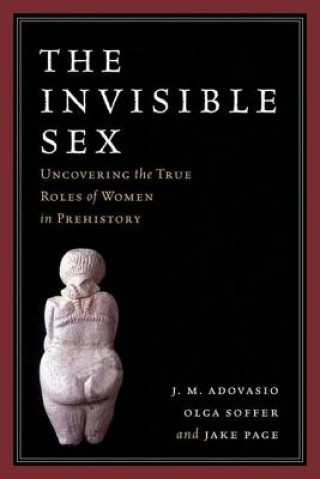 Kniha Invisible Sex J. M. Adovasio