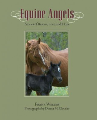 Livre Equine Angels Frank Weller