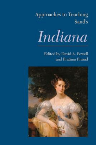 Kniha Approaches to Teaching Sand's Indiana David A. Powell