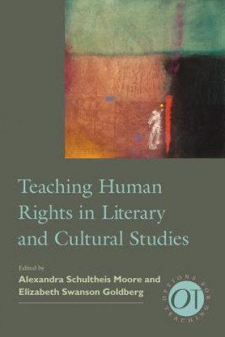 Könyv Teaching Human Rights in Literary and Cultural Studies 