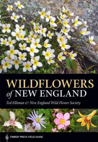 Knjiga Wildflowers of New England Ted Elliman