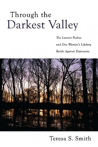 Книга Through the Darkest Valley Teresa S Smith