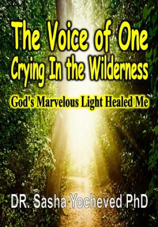 Kniha Voice of One Crying In the Wilderness Dr Sasha Yocheved Phd