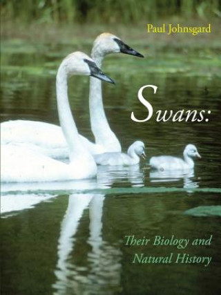 Kniha Swans Paul Johnsgard