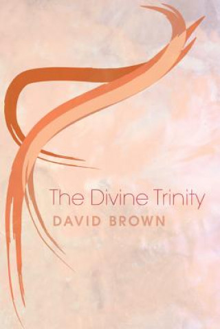 Knjiga Divine Trinity David Brown