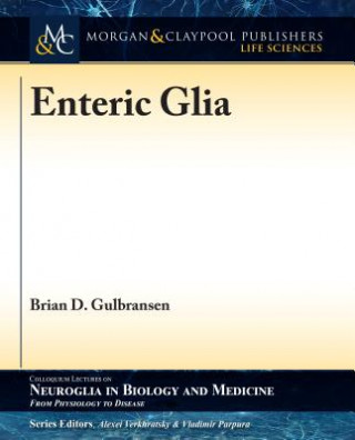 Könyv Enteric Glia Brian D. Gulbransen