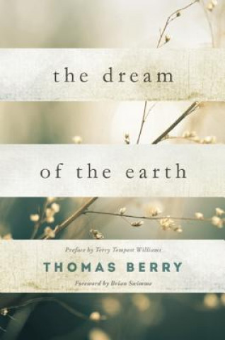 Könyv Dream Of The Earth Thomas Berry