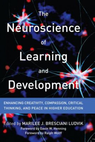 Kniha Neuroscience of Learning and Development 