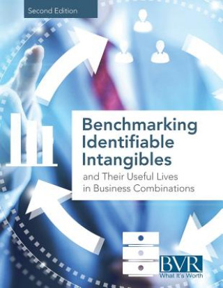 Kniha Benchmarking Identifiable Intangibles and Their Useful Lives in Business Combinations, Second Edition Bvr Staff