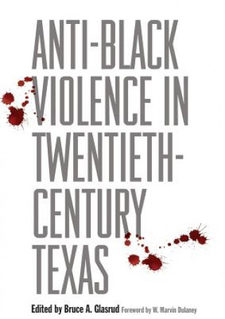 Boek Anti-Black Violence in Twentieth-Century Texas Bruce A. Glasrud