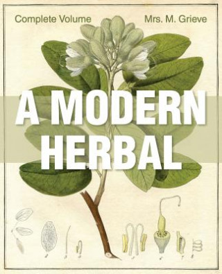 Kniha Modern Herbal Margaret Grieve