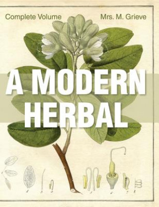 Könyv Modern Herbal Margaret Grieve