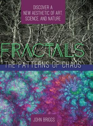 Carte Fractals John Briggs