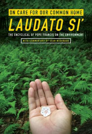 Book On Care for Our Common Home, Laudato Si' Pope Francis