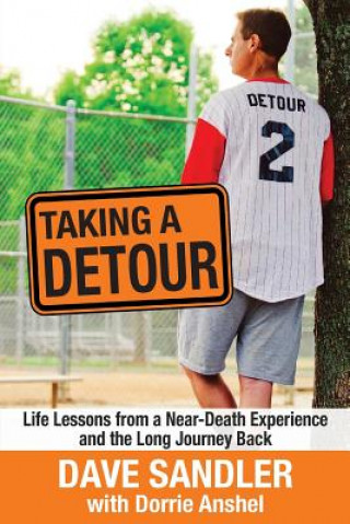 Libro Taking a Detour Dave Sandler
