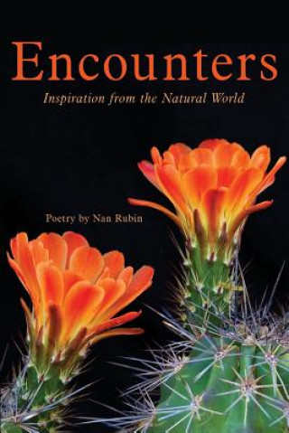 Knjiga Encounters Nan Rubin