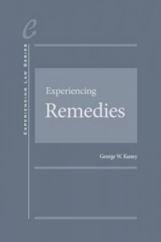 Książka Experiencing Remedies George W. Kuney